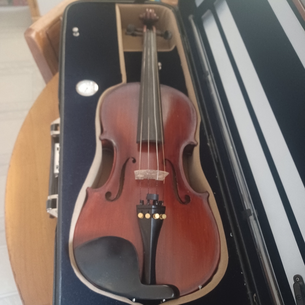Eastman VL401 Violin Ivan Dunov 4/4